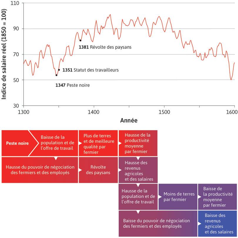 Une économie malthusienne en Angleterre
: La Peste Noire, l’offre de travail, le politique et les salaires : une économie malthusienne.
