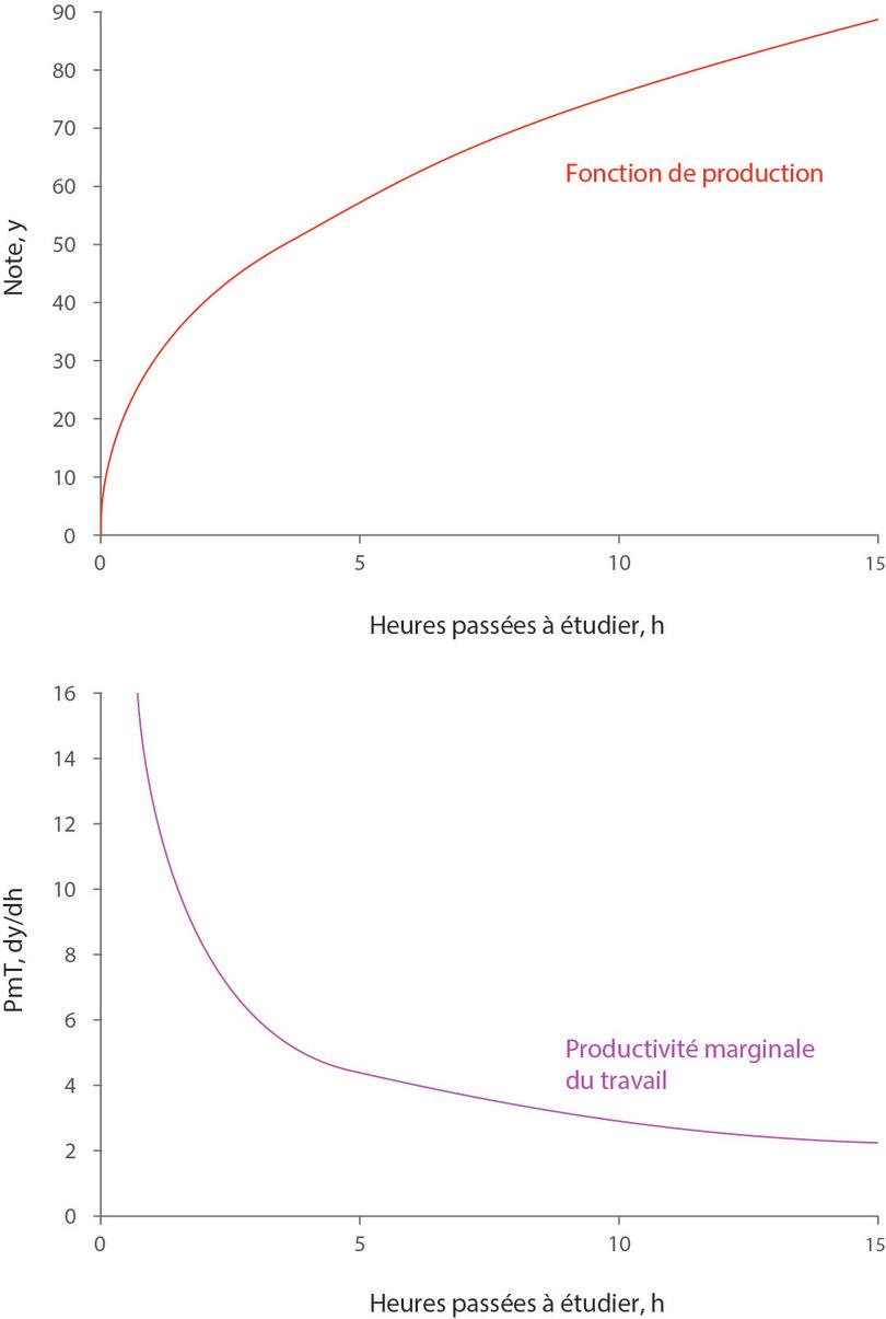 La fonction de production y = 30h0.4 et la productivité marginale correspondante.
