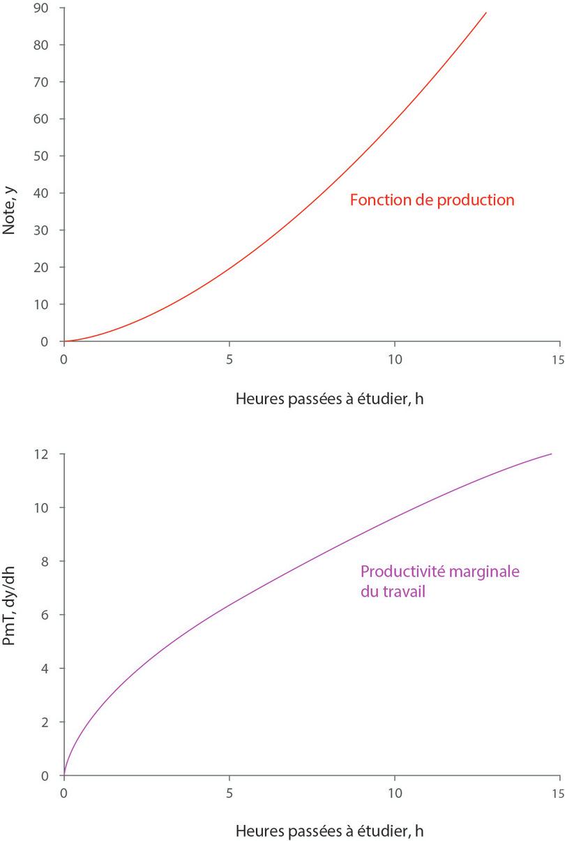 La fonction de production y = 1,5h1,6 et la productivité marginale correspondante.
