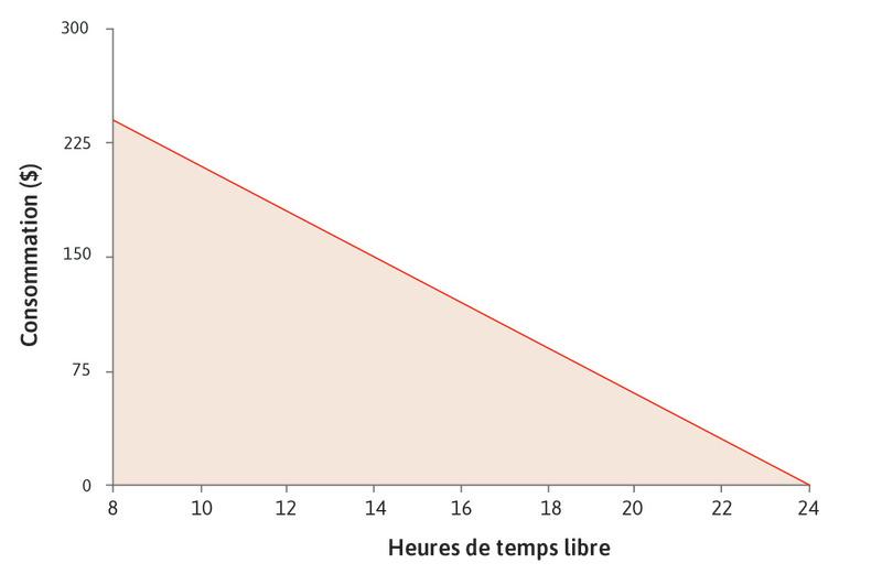 Ensemble des possibles
: La contrainte budgétaire est votre frontière des possibles, et l’aire en dessous est l’ensemble des possibles.
