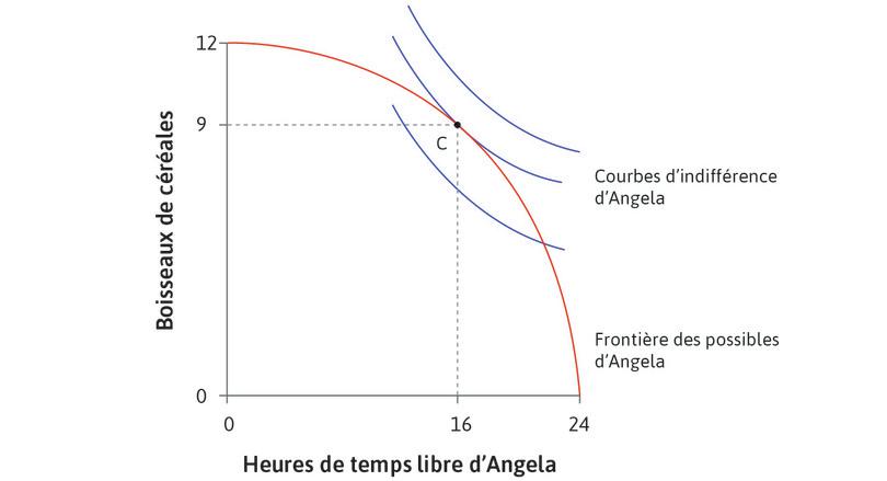 Le mieux qu’Angela puisse faire
: Le mieux qu’Angela puisse faire, étant donné la contrainte posée par sa frontière des possibles, est de travailler 8 heures, ce qui lui laisse 16 heures de temps libre et lui permet de produire 9 boisseaux de céréales. Au point C, le taux marginal de substitution (TMS) est égal au taux marginal de transformation (TMT).
