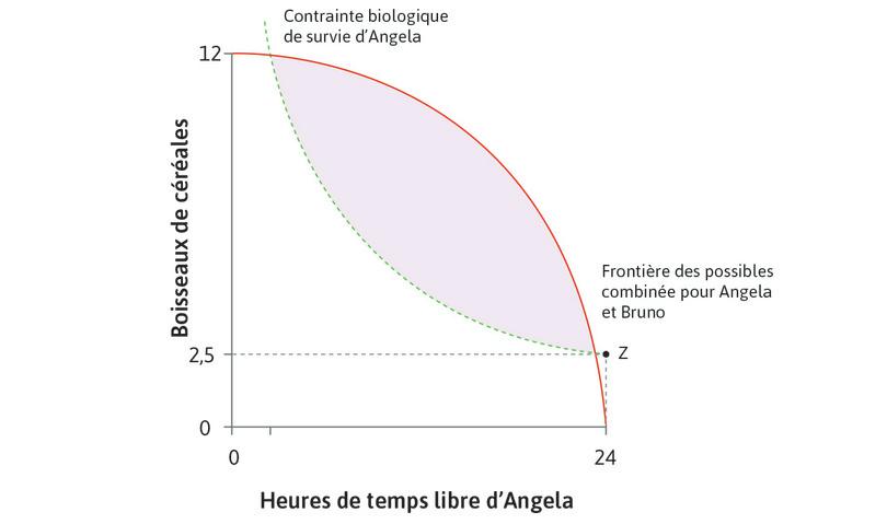 La contrainte biologique de survie
: Si Angela ne travaille pas du tout, elle a besoin de 2,5 boisseaux pour survivre (point Z). Si elle renonce à un peu de temps libre et dépense de l’énergie en travaillant, elle a besoin de plus de nourriture. C’est pourquoi la courbe est plus élevée quand elle a moins de temps libre. Il s’agit de la contrainte biologique de survie.
