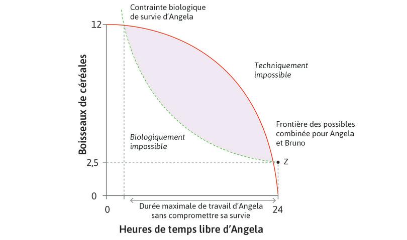 Durée quotidienne maximale de travail pour Angela
: Étant donné la frontière des possibles, il y a un nombre maximum d’heures de travail au-dessus duquel Angela ne pourrait pas survivre, même si elle consommait tout ce qu’elle produisait.
