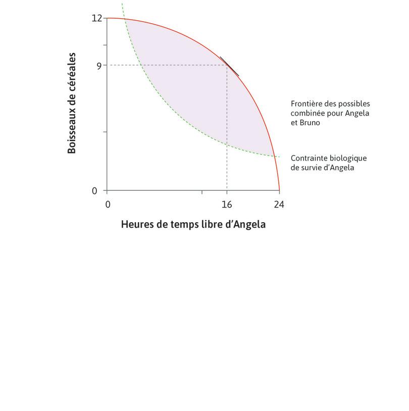 Bruno peut imposer à Angela de travailler
: Bruno peut choisir n’importe quelle allocation située dans l’ensemble techniquement possible. Il pense laisser Angela travailler 8 heures par jour, produisant 9 boisseaux.
