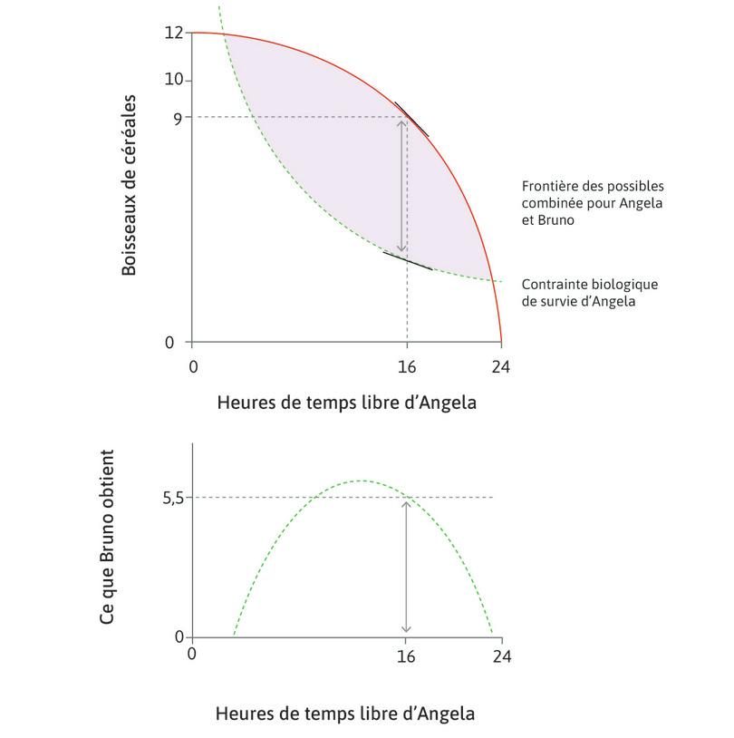 Quand Angela travaille 8 heures
: Bruno pourrait prendre 5,5 boisseaux sans compromettre ses opportunités futures de tirer avantage du travail d’Angela. Cela se reflète dans l’écart vertical entre la frontière des possibles et la contrainte de survie.
