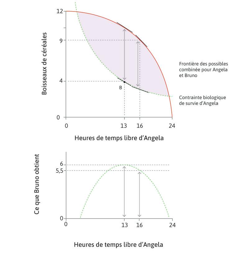 La distance maximale entre les frontières
: La distance verticale entre la frontière des possibles et la contrainte biologique de survie est la plus élevée quand Angela travaille 11 heures (et a 13 heures de temps libre).
