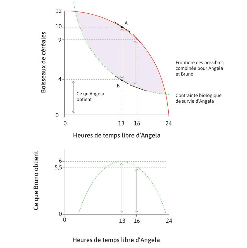 Allocation et répartition lorsque la distance est maximale
: Si Bruno ordonne à Angela de travailler 11 heures, elle va produire 10 boisseaux, et en a besoin de 4 pour sa survie. Bruno va donc garder 6 boisseaux pour lui-même (la distance AB).
