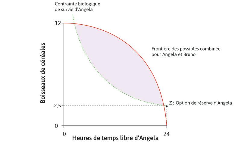 Option de réserve d’Angela
: Le point Z, l’allocation pour laquelle Angela ne travaille pas et obtient seulement des rations de survie de l’État, est appelé son option de réserve.
