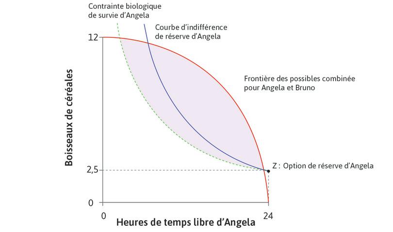 La courbe d’indifférence de réserve d’Angela
: La courbe montrant l’ensemble des allocations qui ont exactement la même valeur pour Angela que son option de réserve est appelée sa courbe d’indifférence de réserve.
