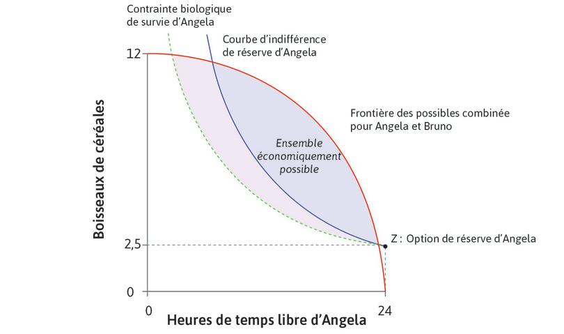 Les allocations économiquement possibles lorsque l’échange est volontaire.
