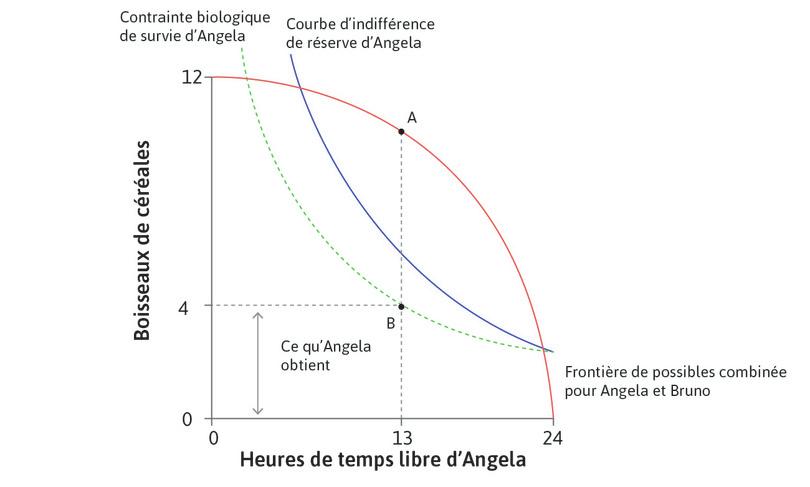 Le meilleur résultat pour Bruno quand il fait usage de la force
: Lorsqu’il pouvait contraindre Angela, Bruno choisissait l’allocation B. Il forçait Angela à travailler 11 heures et recevait une quantité de céréales égale à AB. Le TMT au point A est égal au TMS au point B sur la contrainte biologique de survie d’Angela.
