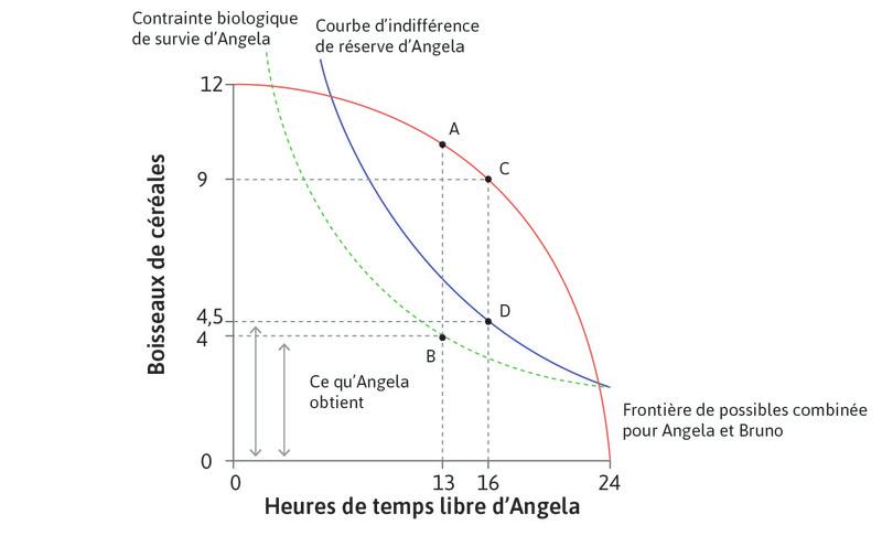 Quand Angela peut dire non
: Dans le cadre d’un échange volontaire, l’allocation B n’est plus disponible. Le mieux que Bruno puisse faire est l’allocation D, pour laquelle Angela travaille 8 heures et lui donne une quantité de céréales égale à CD.

