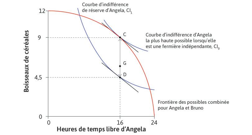 Préférences d’Angela
: Souvenez-vous que le TMS d’Angela ne change pas lorsqu’elle consomme plus de céréales. Pour n’importe quel point le long de la droite CD, par exemple le point G, il y a une courbe d’indifférence avec la même pente. Nous voyons donc que TMS = TMT à chacun de ces points.
