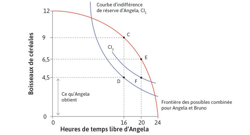 L’effet de la législation
: Suite à la législation réduisant le temps de travail à 4 heures et gardant la quantité de céréales d’Angela inchangée, elle se trouve sur une courbe d’indifférence plus haute, au point F. La quantité de céréales obtenue par Bruno est réduite, de CD à EF (2 boisseaux).
