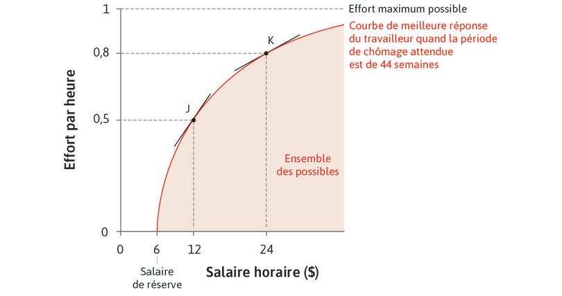 L’ensemble des possibles de l’employeur
: La courbe de meilleure réponse est la frontière de l’ensemble des possibles de l’employeur en termes de combinaisons de salaire et d’effort fourni par ses employés.
