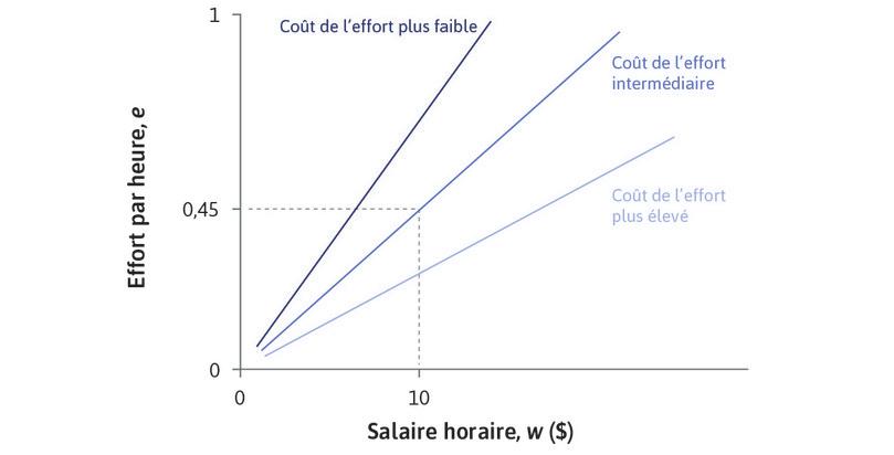 D’autres droites d’isocoût
: Sur une droite d’isocoût, la pente est e/w, mais le coût de l’effort est w/e. Une droite plus pentue correspond à un coût de l’effort plus faible, et une droite plus plate à un coût de l’effort plus élevé.
