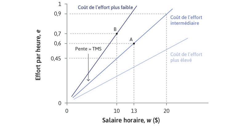 Courbes d’indifférence de l’employeur : courbes d’isocoût pour l’effort.

