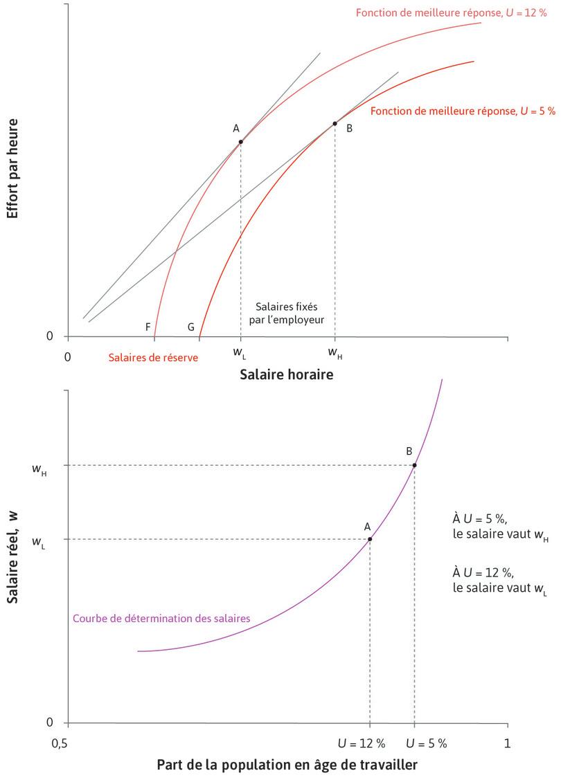 Obtention de la courbe des salaires : variation du taux de chômage de l’économie.
