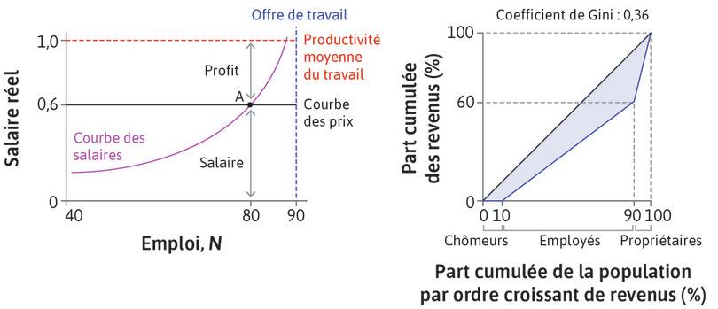 La répartition des revenus à l’équilibre du marché du travail.
