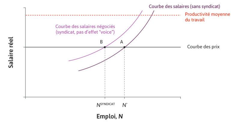La courbe des salaires négociée en l’absence de l’effet « voice » du syndicat.
