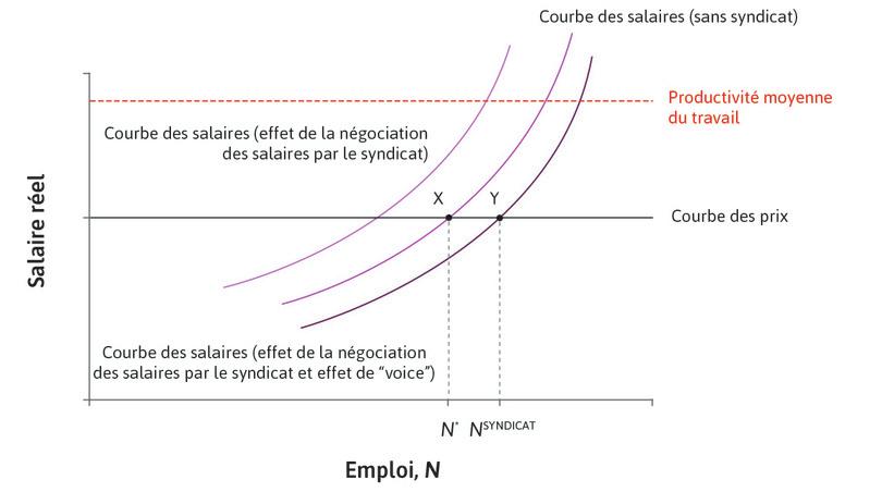 La courbe des salaires négociés et l’équilibre du marché du travail lorsqu’il y a un effet de « voix » du syndicat.
