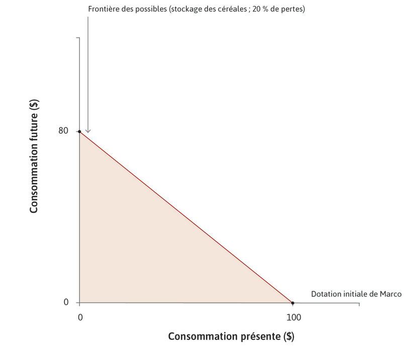 La frontière des possibles de Marco
: La droite foncée montre la frontière des possibles de Marco s’il utilise le stockage et l’aire ombrée foncée montre son ensemble des possibles.
