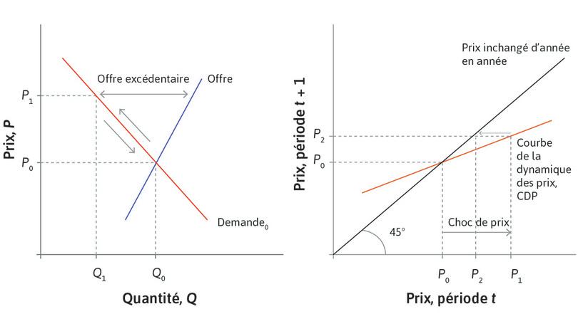 Les croyances atténuent les variations de prix
: Puisque l’EDP est plus plate que la droite à 45 degrés, P2 est plus proche de l’équilibre que P1. Les investisseurs sont influencés par leurs croyances sur la valeur fondamentale de la FCC, qui vaut P0.
