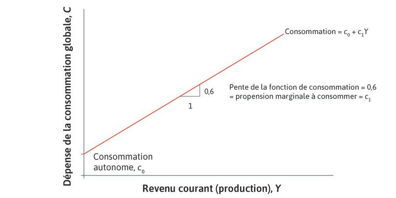 La fonction de consommation agrégée.
