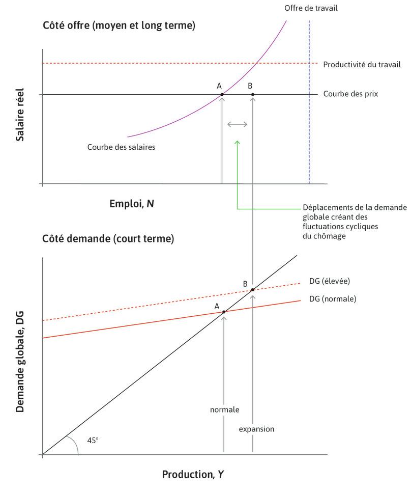 Une expansion
: Imaginez qu’une augmentation de l’investissement fasse se déplacer vers le haut la courbe de demande agrégée à DG (élevée), de sorte que la production et l’emploi augmentent. L’économie est en B : avec l’expansion, le chômage baisse en dessous de 5 %. L’emploi additionnel est appelé emploi cyclique.
