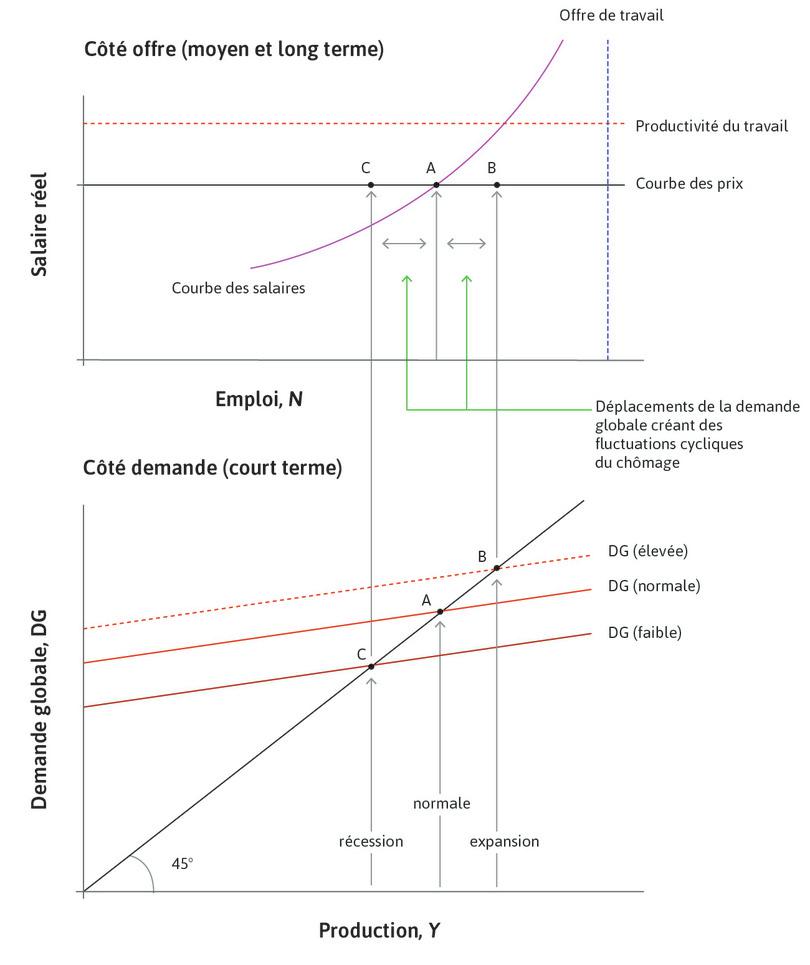 Fluctuations du cycle économique autour du chômage d’équilibre.
