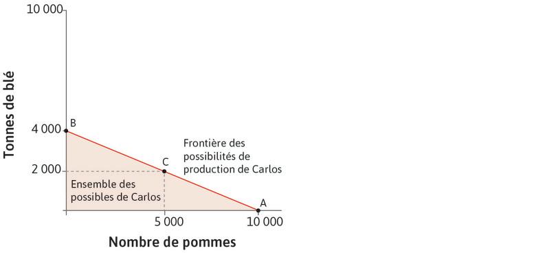 L’ensemble des possibles de Carlos
: Il peut produire n’importe quelle combinaison entre l’origine et la frontière des possibilités de production. La zone rouge représente son ensemble des possibles.
