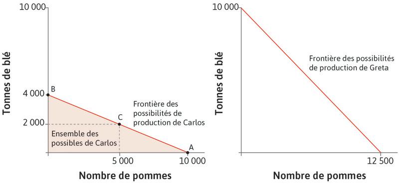 La frontière des possibilités de production de Greta
: On peut la voir dans le graphique de droite. Greta peut produire plus de chaque bien que Carlos. Si elle ne produit qu’un bien, elle peut produire soit 12 500 pommes, soit 10 000 tonnes de blé avec 100 hectares de terre.
