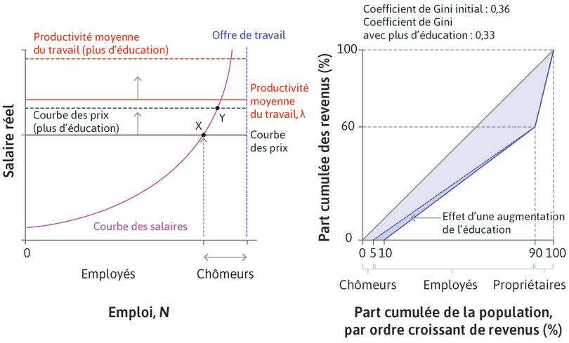 Effet d’une main-d’œuvre plus éduquée sur les inégalités entre employeurs, employés et chômeurs : le marché du travail de l’économie dans son ensemble et la courbe de Lorenz.
