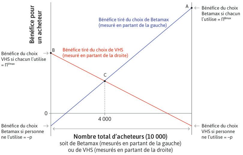 Valeur nette associée à la participation à un réseau.
