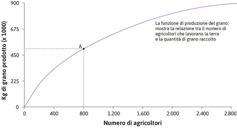 Produzione quando ci sono 800 agricoltori
: Il punto A sulla funzione di produzione mostra l’output di grano prodotto da 800 agricoltori.
