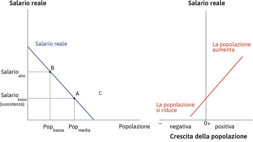 Il tenore di vita influenza la dimensione della popolazione
: La retta crescente del grafico a destra mostra che quando i salari (sull’asse verticale) sono elevati, la popolazione (sull’asse orizzontale) aumenta (variazione positiva). Quando i salari sono bassi, la popolazione si riduce (variazione negativa).
