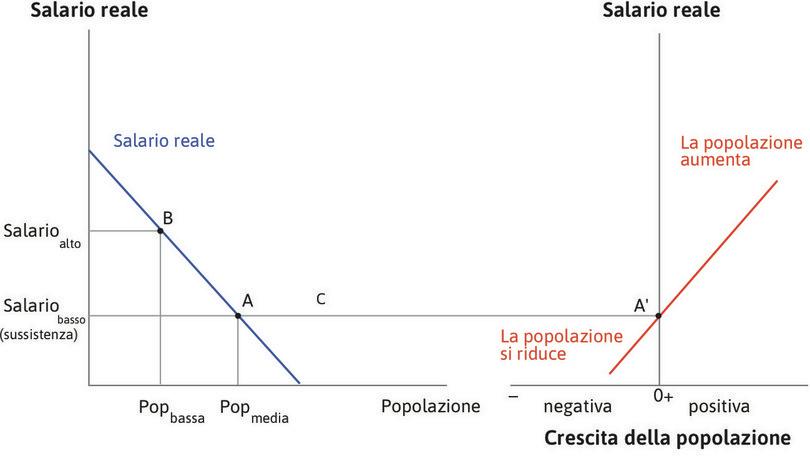 Colleghiamo i due grafici
: Nel punto A nel grafico di sinistra, la popolazione è di medie dimensioni e il salario è a livello di sussistenza. Riportando questo punto nel grafico a destra in A′, vediamo che la crescita della popolazione è uguale a zero. In A l’economia è dunque in equilibrio: la popolazione rimane costante e il salario rimane al livello di sussistenza.
