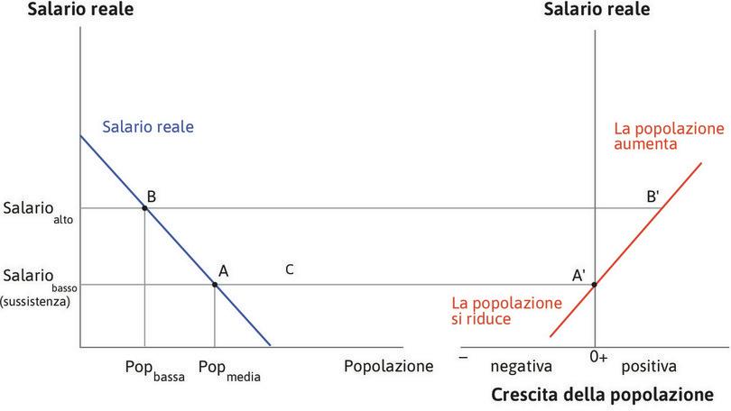 L’economia ritorna all’equilibrio
: Supponiamo che l’economia si trovi nel punto B, con un salario più elevato e una popolazione inferiore.  Il punto B’ nel grafico a destra mostra che la popolazione crescerà.
