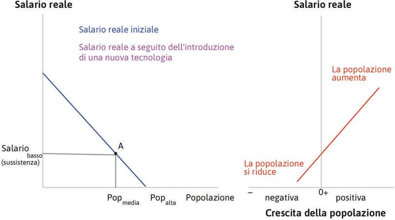 L’equilibrio iniziale
: Nel punto A, con una popolazione di medie dimensioni e il salario a livello di sussistenza, l’economia è in equilibrio.
