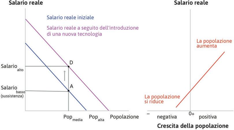 Un miglioramento tecnico aumenta il salario
: Un miglioramento tecnico (per esempio migliori sementi) aumenta la produttività media del lavoro e quindi il salario in corrispondenza di ogni livello di popolazione. Ciò  sposta verso l’alto la retta del salario. Al livello iniziale della popolazione, il salario aumenta e l’economia si sposta in D.
