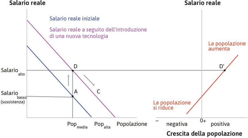 La popolazione cresce
: Dal momento che la produttività media del lavoro è decrescente, la crescita della popolazione fa diminuire il salario: l’economia si muove lungo la curva del salario da D verso C.
