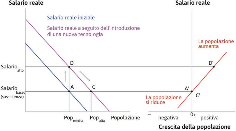 L’introduzione di una nuova tecnica in un’economia malthusiana.
: L’introduzione di una nuova tecnica in un’economia malthusiana.
