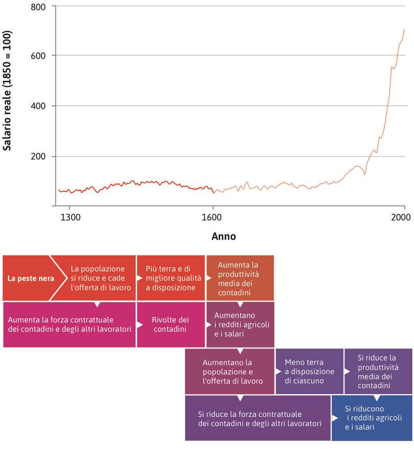 L’Inghilterra dei secoli XIV-XVI: un’economia malthusiana
: Il caso dell’Inghilterra tra il 1300 e il 1600 illustra bene il funzionamento di un’economia malthusiana.
