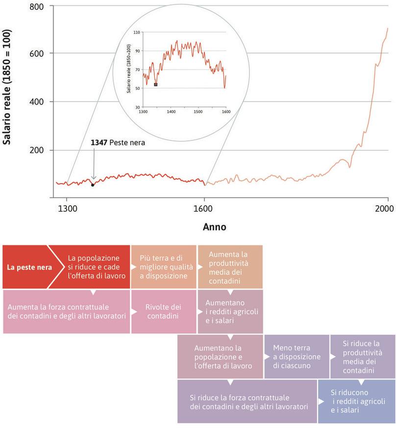 La peste nera
: La peste bubbonica del 1348–50, conosciuta come peste nera, uccise 1,5 milioni di persone su una popolazione inglese stimata di quattro milioni, portando ad una caduta drammatica dell’offerta di lavoro.

