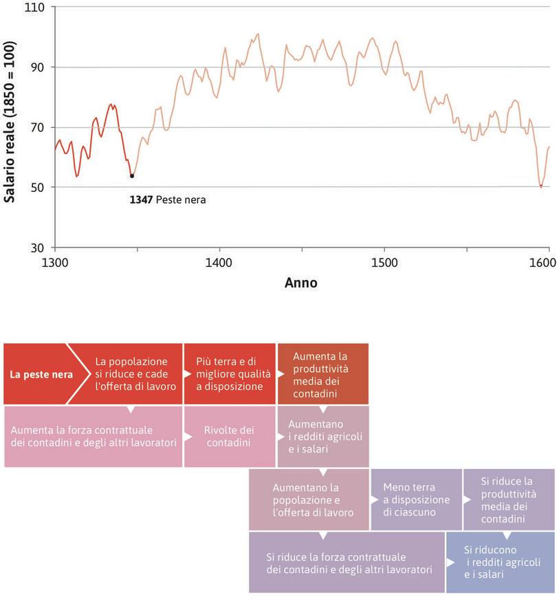 Dopo la peste i salari aumentarono
: La riduzione della popolazione produsse un vantaggio economico per gli agricoltori e gli altri lavoratori sopravvissuti: gli agricoltori ebbero maggiore disponiblità di terra e terreni di migliore qualità, e i lavoratori poterono richiedere salari più alti. A seguito della peste i redditi crebbero.
