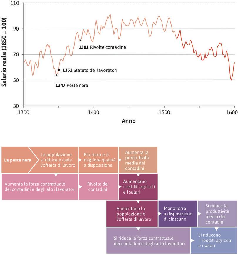 Durante il XVI secolo la popolazione aumentò
: A metà del XV secolo, i salari reali dei lavoratori inglesi nel settore delle costruzioni erano raddoppiati. I maggiori salari contribuirono a far aumentare la popolazione durante tutto il XVI secolo, ma si verificò quanto previsto dalla legge di Malthus: quando la popolazione aumenta, i redditi diminuiscono.
