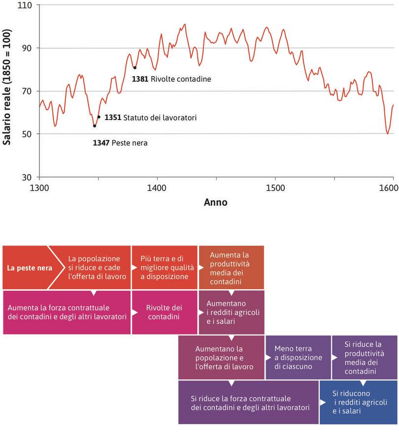 Un’economia malthusiana in Inghilterra
: Peste nera, offerta di lavoro e salari in un’economia malthusiana.
