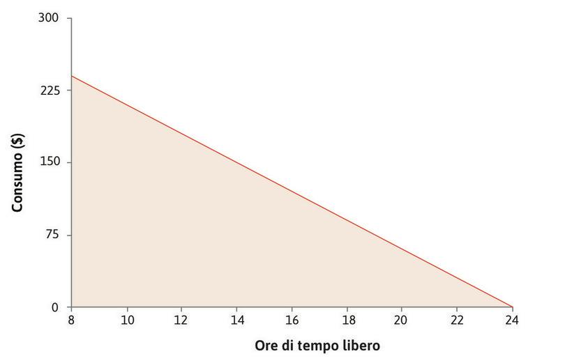 L’insieme possibile
: Il vincolo di bilancio e la frontiera possibile, mentre l’area al di sotto del vincolo è l’insieme possibile.
