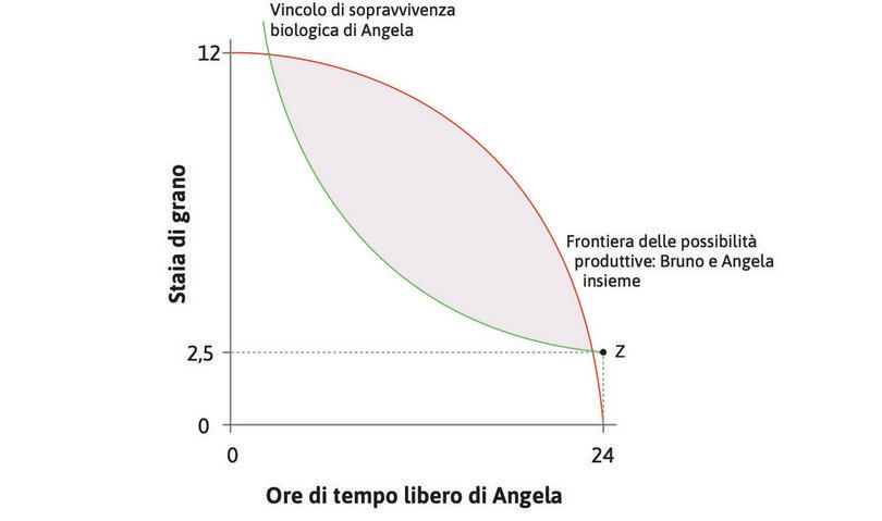 Il vincolo biologico di sopravvivenza
: Se Angela non lavora, ha bisogno di 2,5 staia di grano per sopravvivere (punto Z). Se rinuncia a un po’ di tempo libero e dedica più energia al lavoro avrà anche bisogno di più cibo, perciò la curva è più alta quando ha meno tempo libero. Questo è il vincolo biologico di sopravvivenza.
