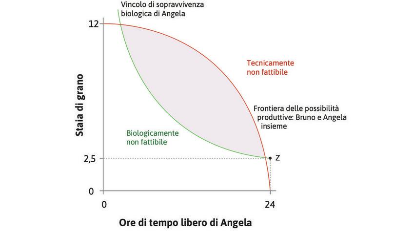 Punti biologicamente impossibili e punti tecnicamente impossibili
: I punti al di sotto del vincolo biologico di sopravvivenza sono biologicamente impossibili, mentre i punti al di sopra della frontiera delle possibilità produttive sono tecnicamente impossibili.

